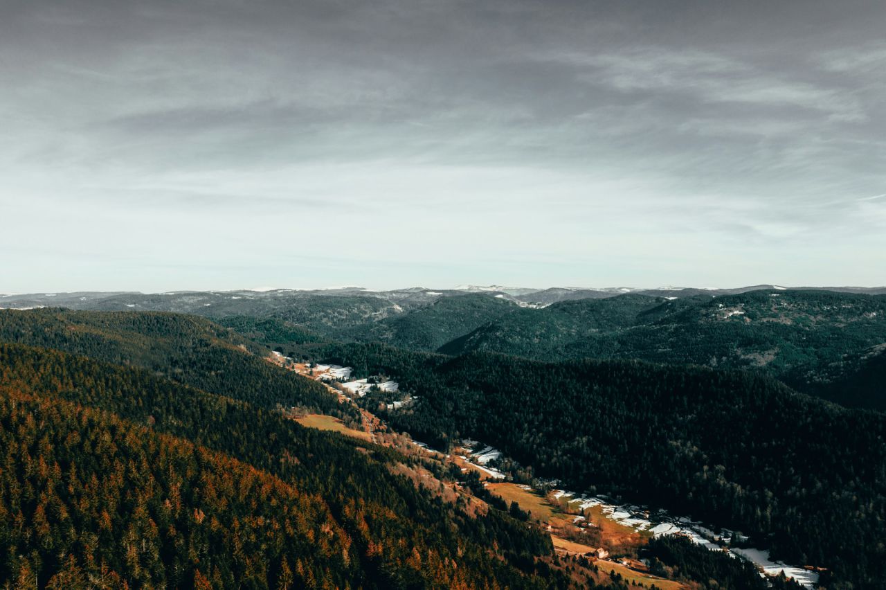 Cum poate consultanța să accelereze creșterea afacerilor